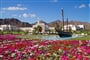 Muscat