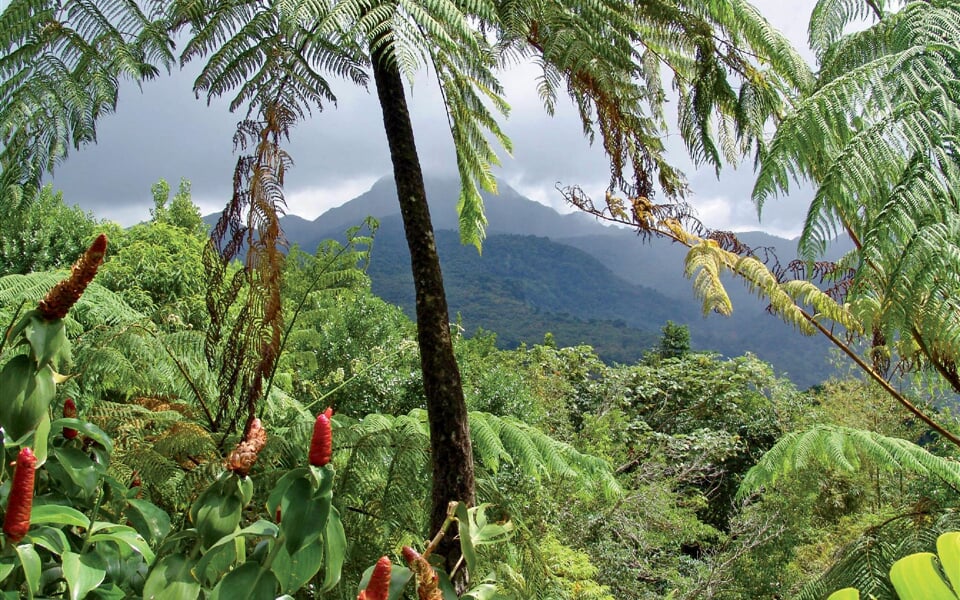Foto - Papua – Nová Guinea