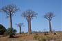 Foto - Tajemný Madagaskar