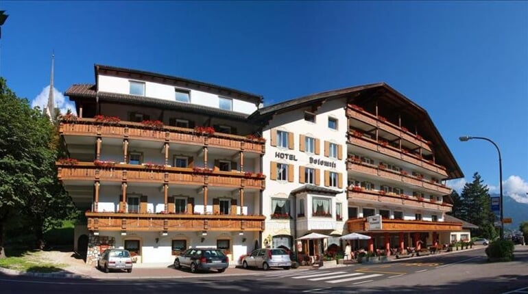 Dolomiti Hotel Vigo di Fassa 2019 (9)