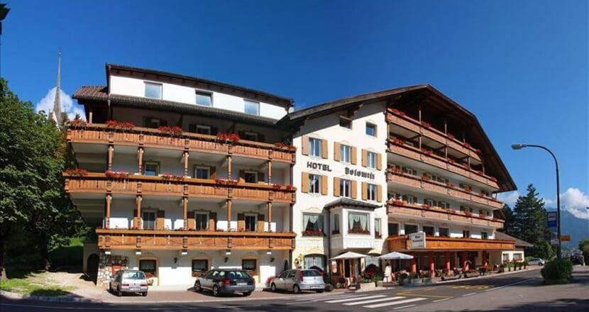 Dolomiti Hotel Vigo di Fassa 2019 (9)