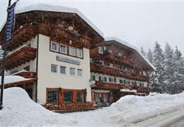 Hotel Rododendro *** - Campitello di Fassa