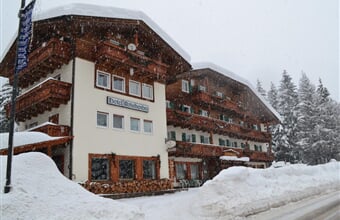 Hotel Rododendro *** - Campitello di Fassa