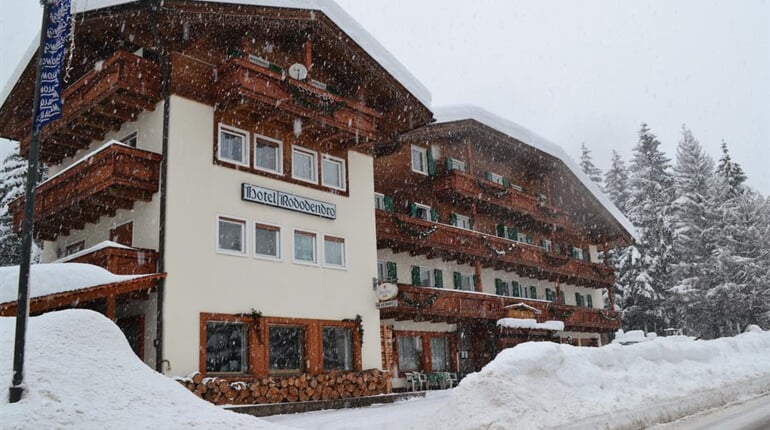 Rododendro Hotel Campitello 2019  (11)