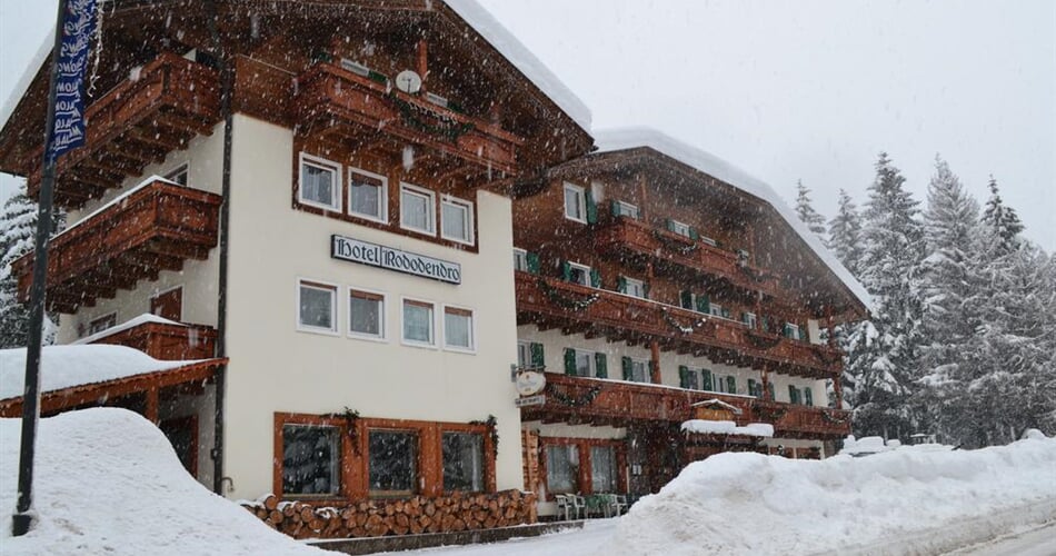 Rododendro Hotel Campitello 2019  (11)