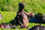 Foto - Zambie – Malawi