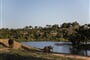 Foto - Kapské Město a Safari v NP Kruger, Simbavati Hilltop Lodge ****, Timbavati Game Reserve