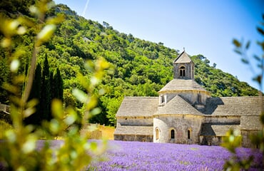 To nejkrásnější z Provence + CANNES (autobusem)