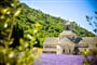 Foto - To nejkrásnější z Provence + MONAKO (autobusem)