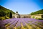 Foto - To nejkrásnější z Provence + MONAKO (autobusem)