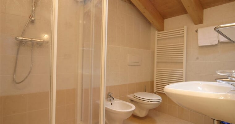 Chalet Li Baita Trepalle 2019 (1)