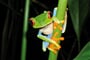 Foto - Panama - Kostarika - Nikaragua