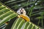 Foto - Panama - Kostarika - Nikaragua