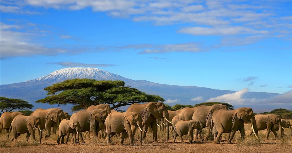 Foto - Keňa - Tanzanie - to nejlepší z východní Afriky