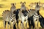 Foto - Keňa - Tanzanie - to nejlepší z východní Afriky