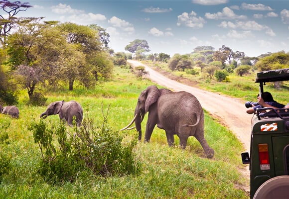 Keňa - Tanzanie - Zanzibar s českým průvodcem