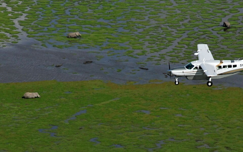 Foto - Letecké safari v Keni