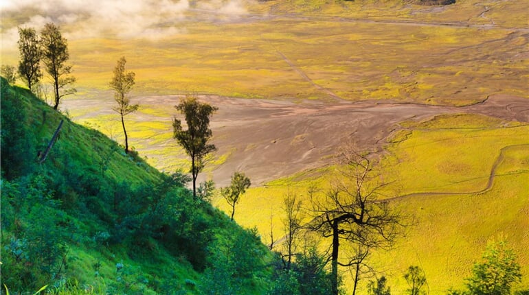 Foto - Perly Indonésie