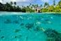 Foto - Bora Bora - Tahiti, Intercontinental Thalasso Spa *****, Bora Bora, Intercontinental Resort **** Tahiti