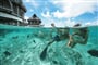 Foto - Tikehau - Tahiti