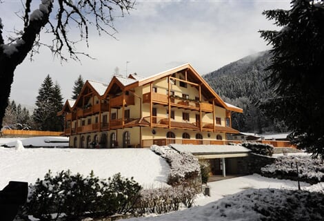 Holidays Dolomiti Resort - Carisolo