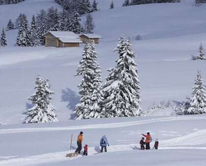 SH Wildgall, Anterselva 2019 (2)