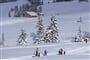 SH Wildgall, Anterselva 2019 (2)