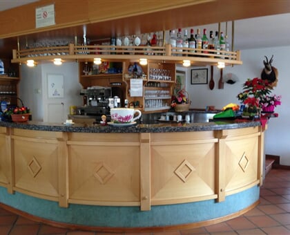 Hotel Vael, Vigo di Fassa 2018 2019 (8)