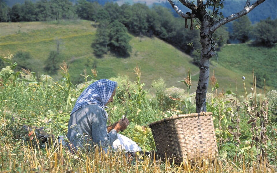 Velikonoce v Banátu