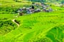 Beautiful view of rice fields and farm traditional houses, Bhutan_shutterstock_2437956431