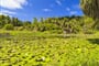 shutterstock_118952662