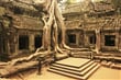 ruiny TA PROHM - Angkor Wat