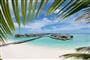 Foto - Severní Malé Atoll - Paradise Island Resort