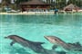 Marineland 5