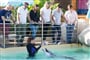 Marineland 2