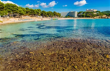 Paguera - Hotel Vibra Beverly Playa