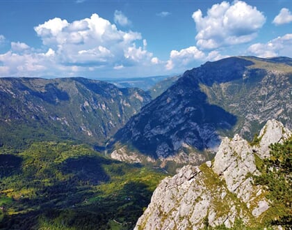 Cerna Hora Durmitor LL