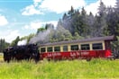 Nemecko Harz vlak