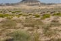 Oman unor 2012 142
