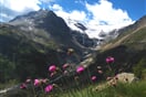 Svycarsko Bernina 17