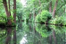 Nemecko Spreewald 02