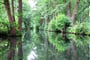 Nemecko Spreewald 02