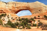 NP Arches 1