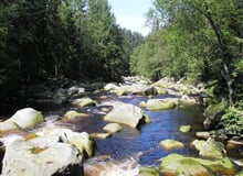 Šumava - Volary: jezera, horské výhledy a renesance
