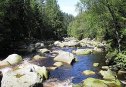 Šumava - Volary: jezera, horské výhledy a renesance