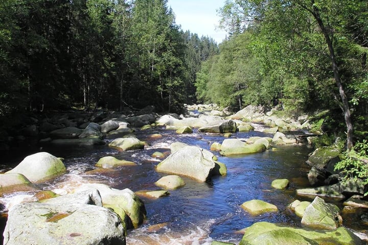 Šumava - Volary: jezera, horské výhledy a renesance