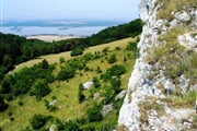 Pálava 02