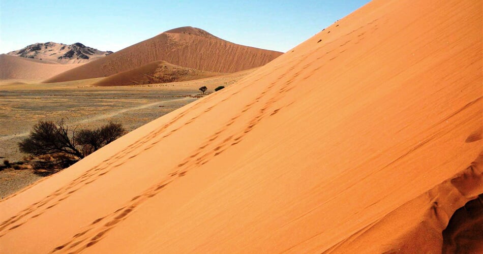 Poust Namib 2