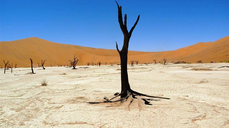 Poust Namib 5