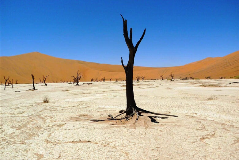 Poust Namib 5